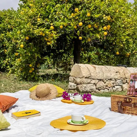 Fiore Di Vendicari - Sicilian Charme, Lemon Grove And Sea *